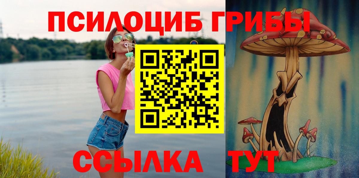 ГАШ Заинск
